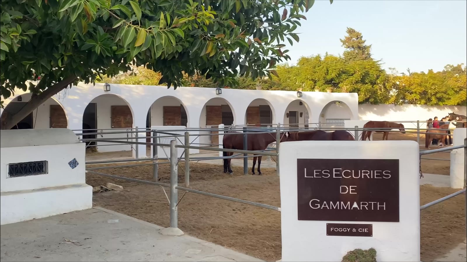 Les chevaux et les bâtiments blancs des Écuries de Gammarth